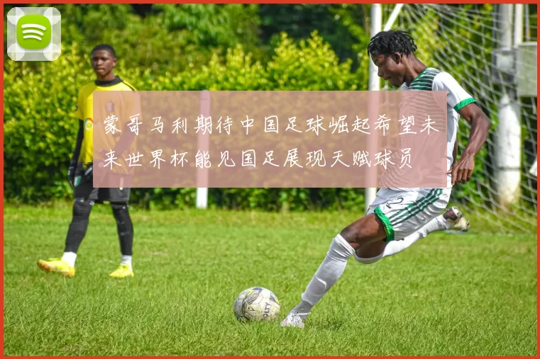 蒙哥马利期待中国足球崛起希望未来世界杯能见国足展现天赋球员