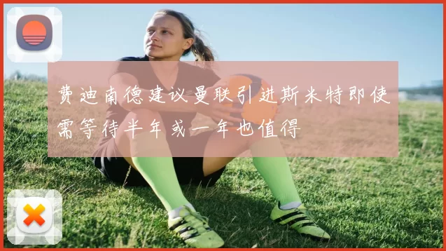 费迪南德建议曼联引进斯米特即使需等待半年或一年也值得